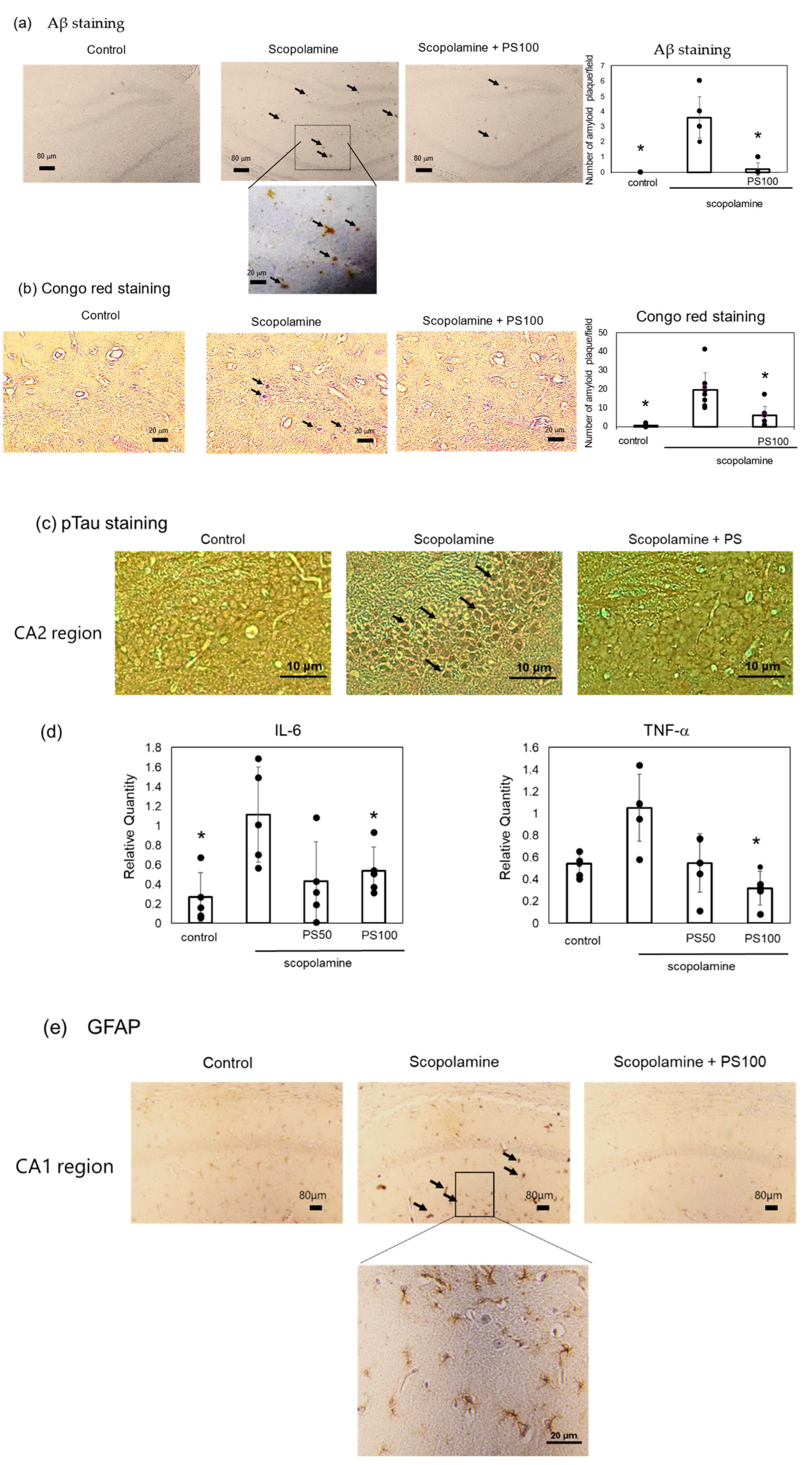 Applsci 14 07830 g003