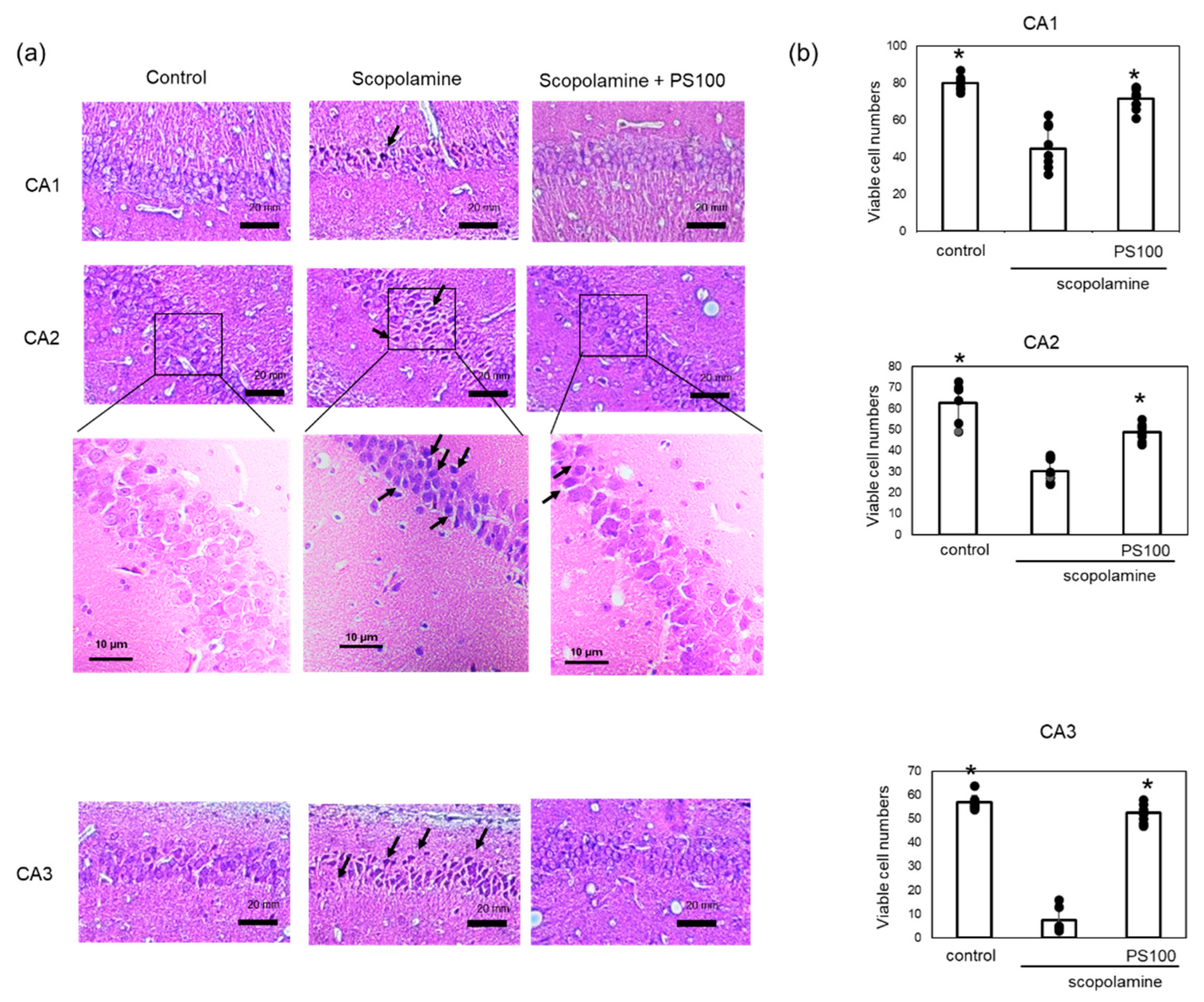 Applsci 14 07830 g004