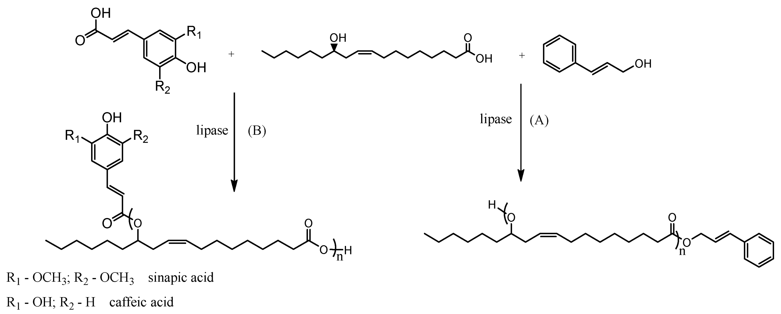 Applsci 14 07832 g001