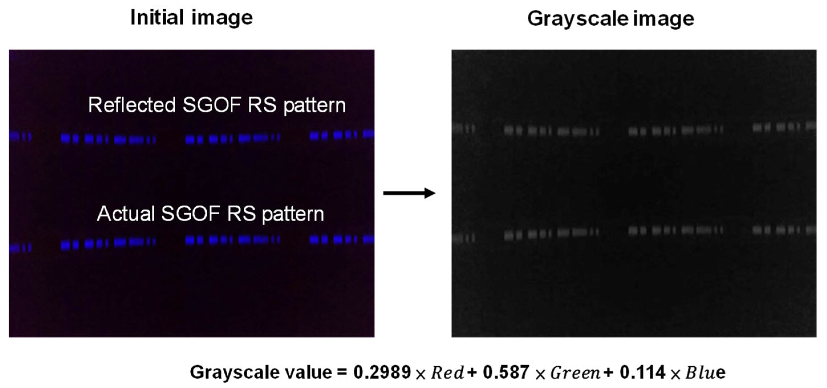 Applsci 14 07840 g004