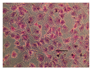 Applsci 14 07845 i001