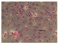 Applsci 14 07845 i002