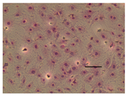 Applsci 14 07845 i008