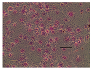 Applsci 14 07845 i009