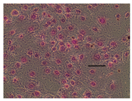 Applsci 14 07845 i010