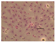 Applsci 14 07845 i011