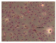 Applsci 14 07845 i012