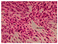 Applsci 14 07845 i014