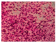 Applsci 14 07845 i018