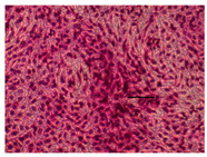 Applsci 14 07845 i020