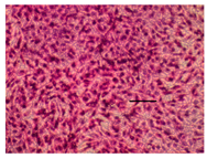 Applsci 14 07845 i022