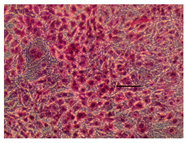 Applsci 14 07845 i023