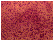 Applsci 14 07845 i024