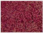 Applsci 14 07845 i025