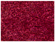 Applsci 14 07845 i026