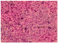 Applsci 14 07845 i030