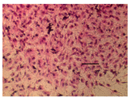 Applsci 14 07845 i032