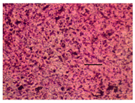 Applsci 14 07845 i036