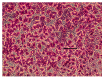 Applsci 14 07845 i039