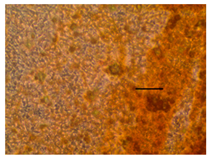 Applsci 14 07845 i044