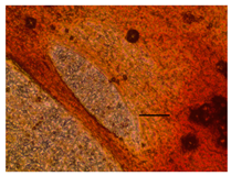 Applsci 14 07845 i056