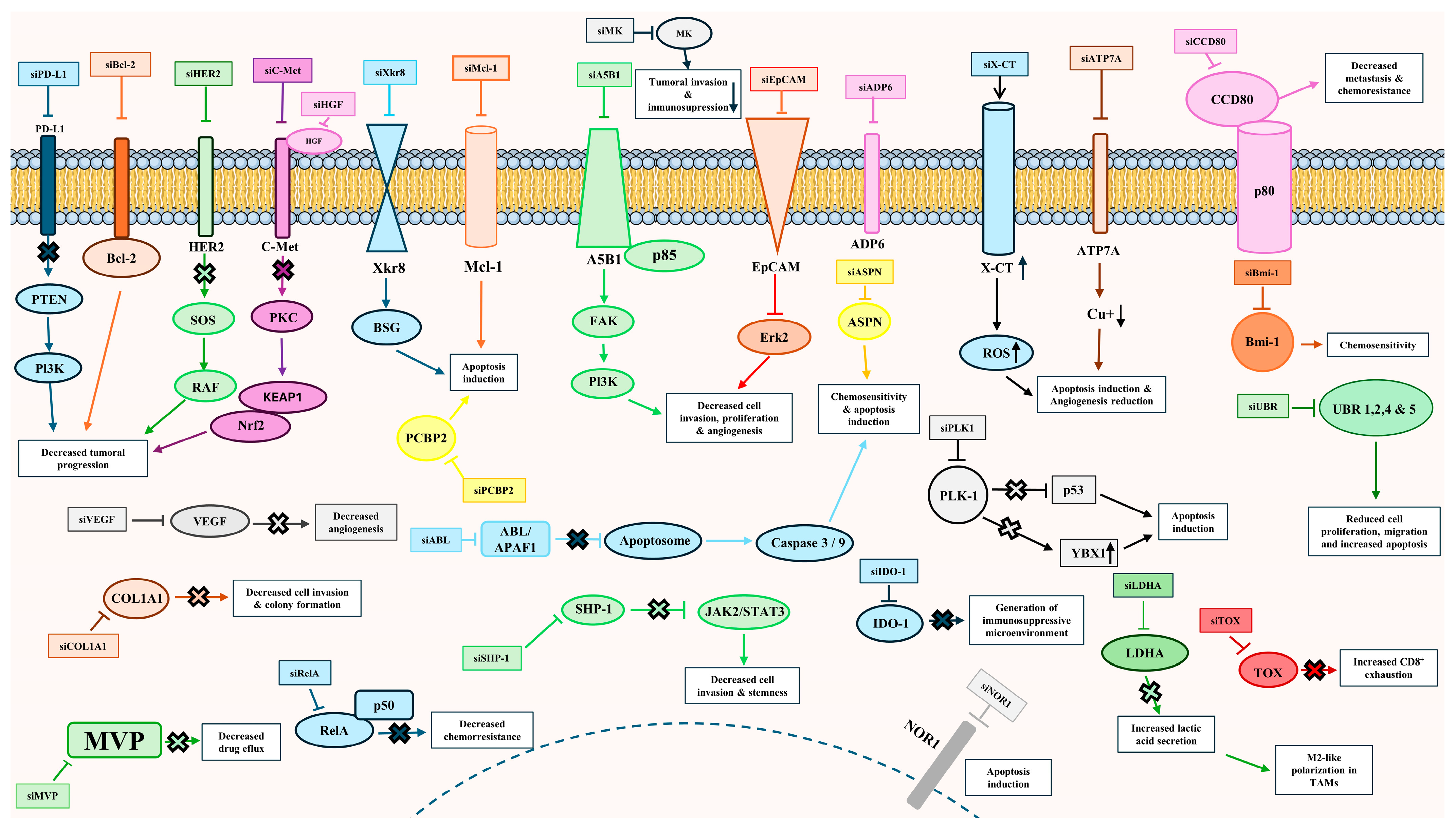 Applsci 14 07872 g003