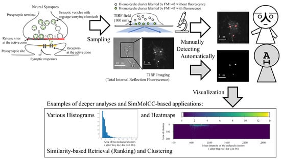 Applsci 14 07958 g001
