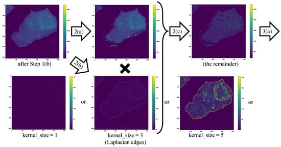 Applsci 14 07958 g006