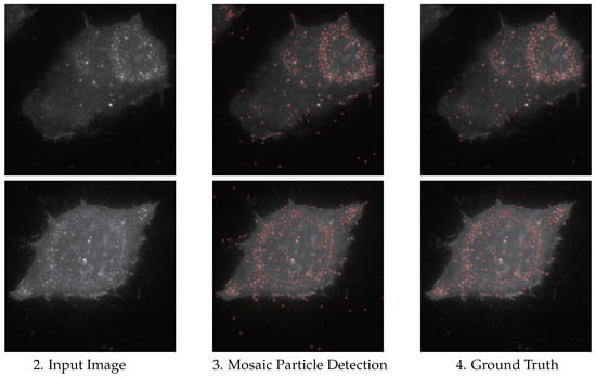 Applsci 14 07958 g011