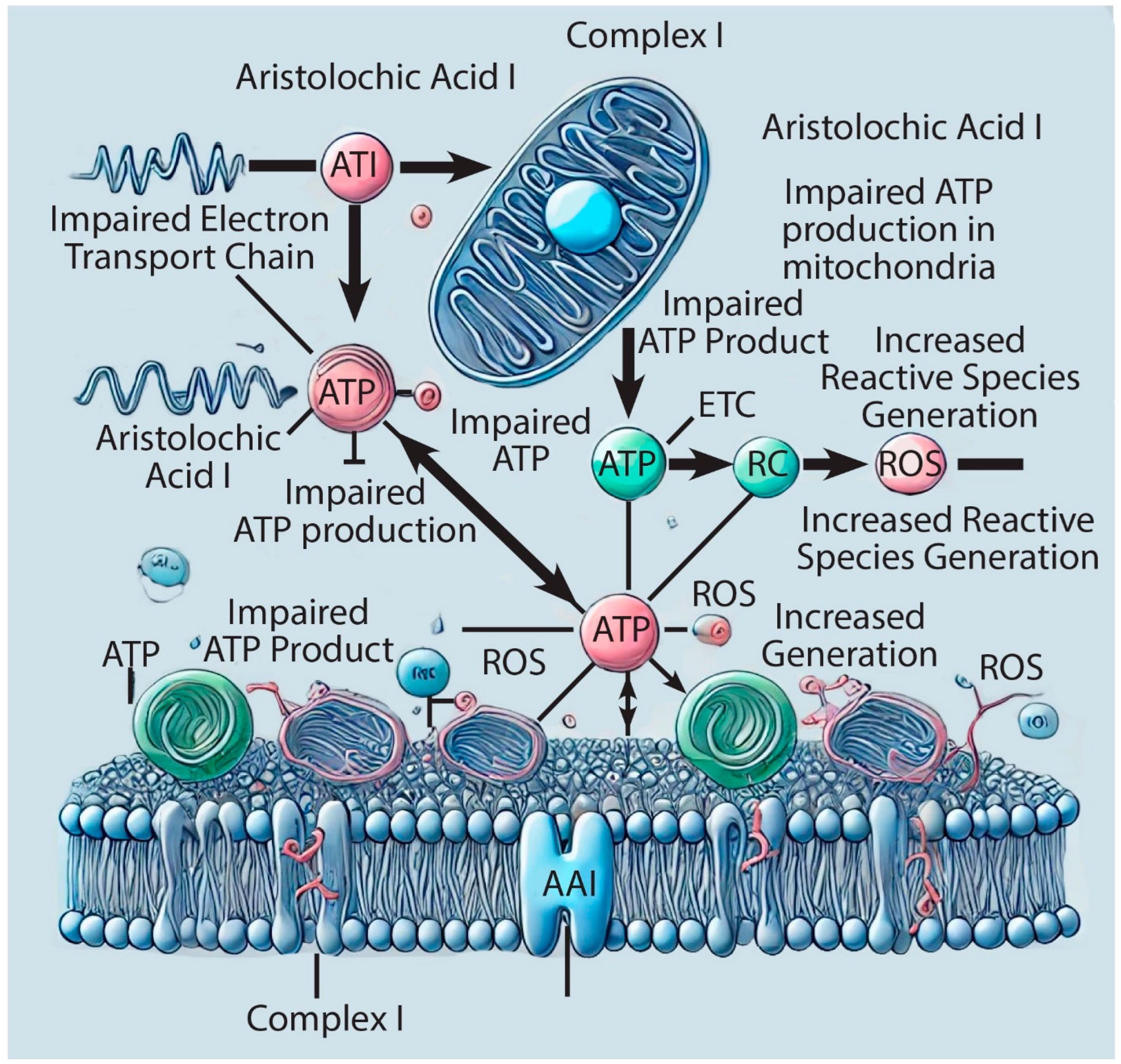 Applsci 14 07961 g002