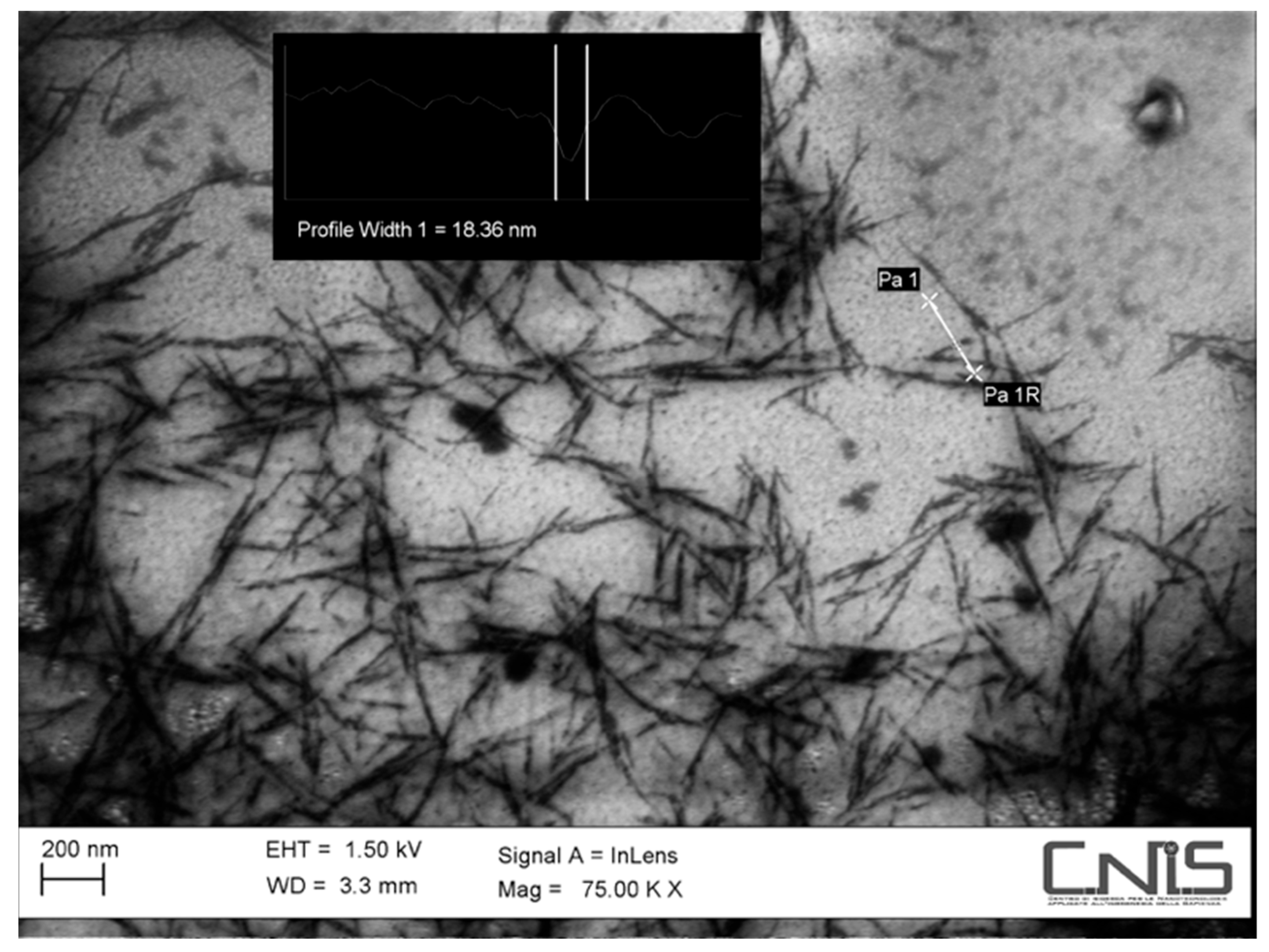 Applsci 14 07964 g001