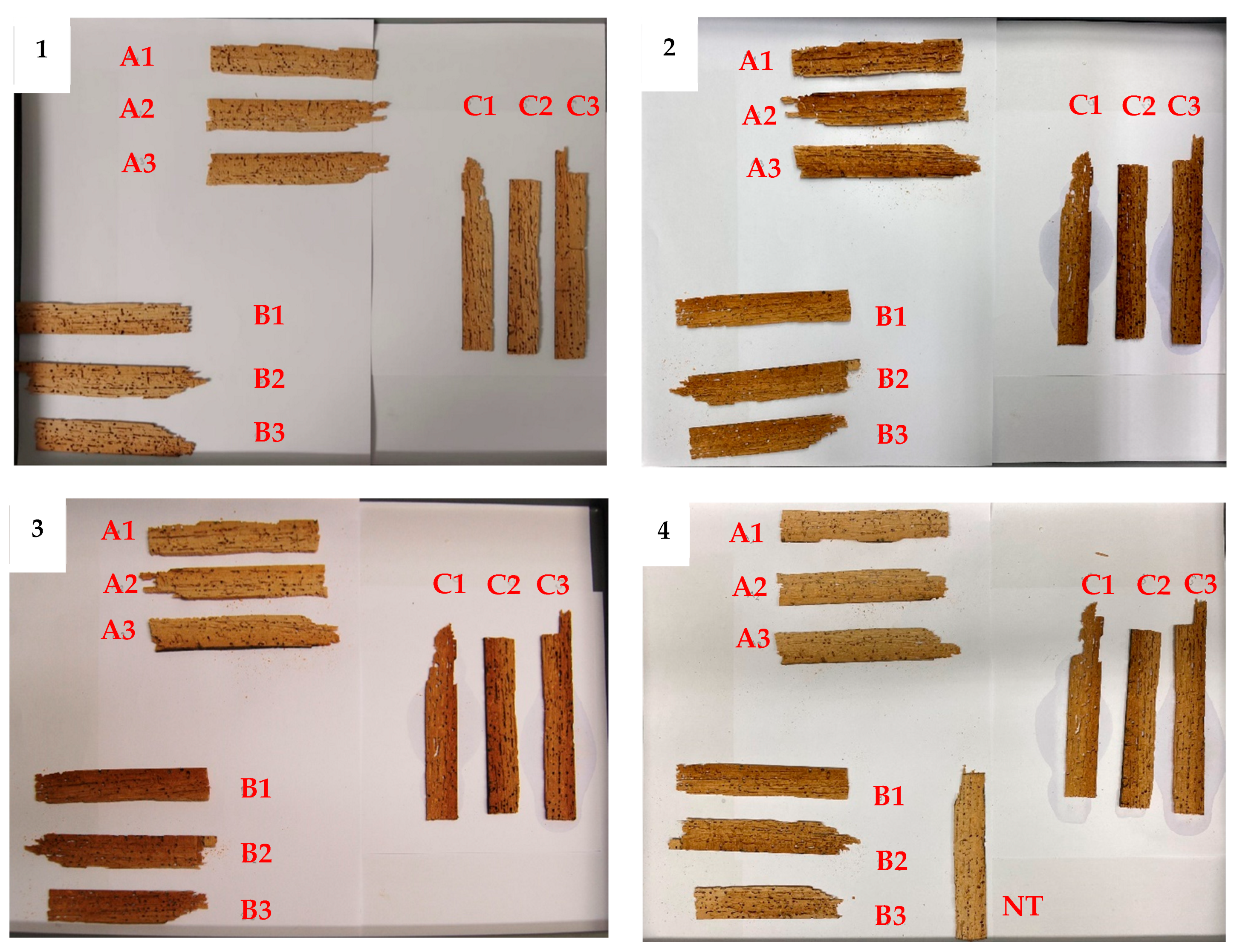 Applsci 14 07964 g003