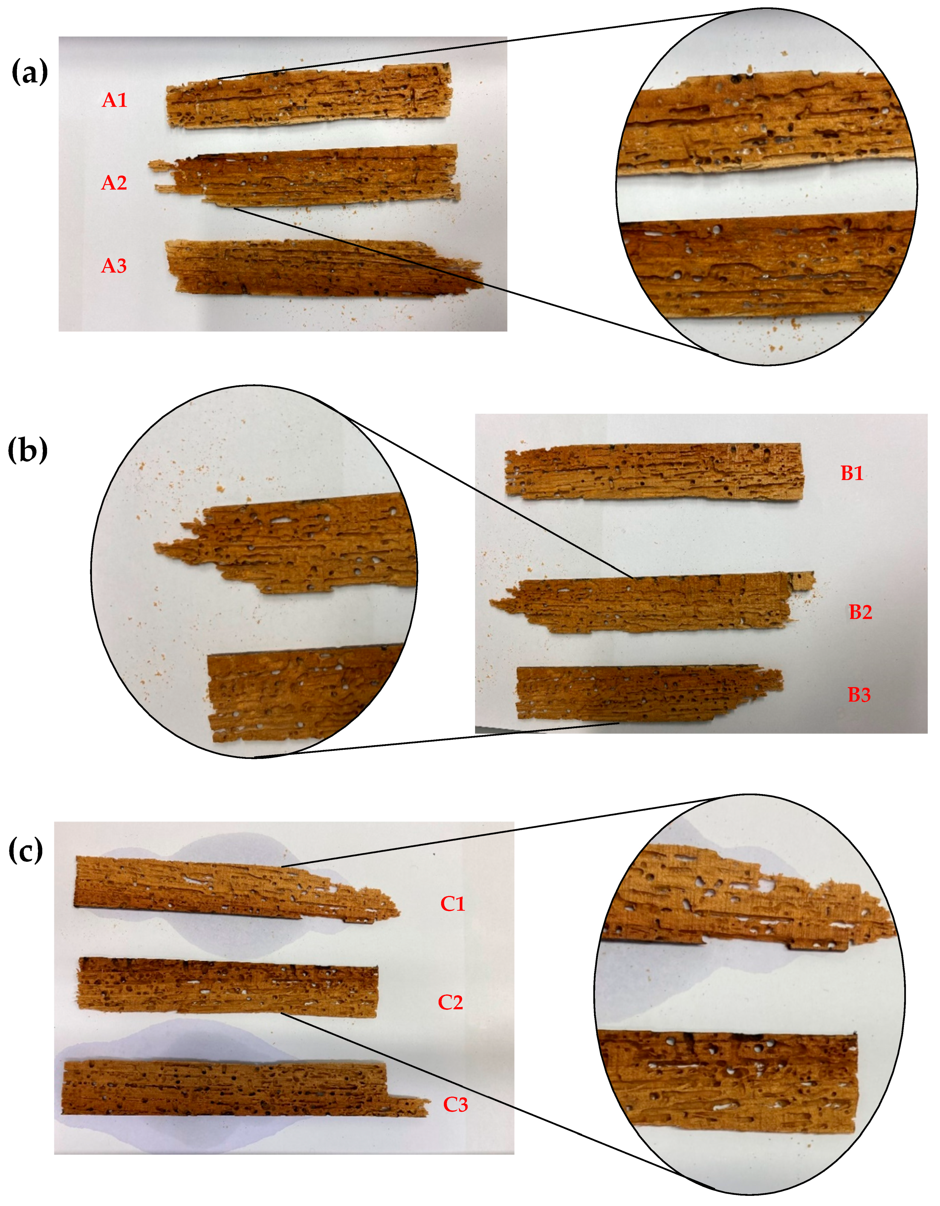 Applsci 14 07964 g004