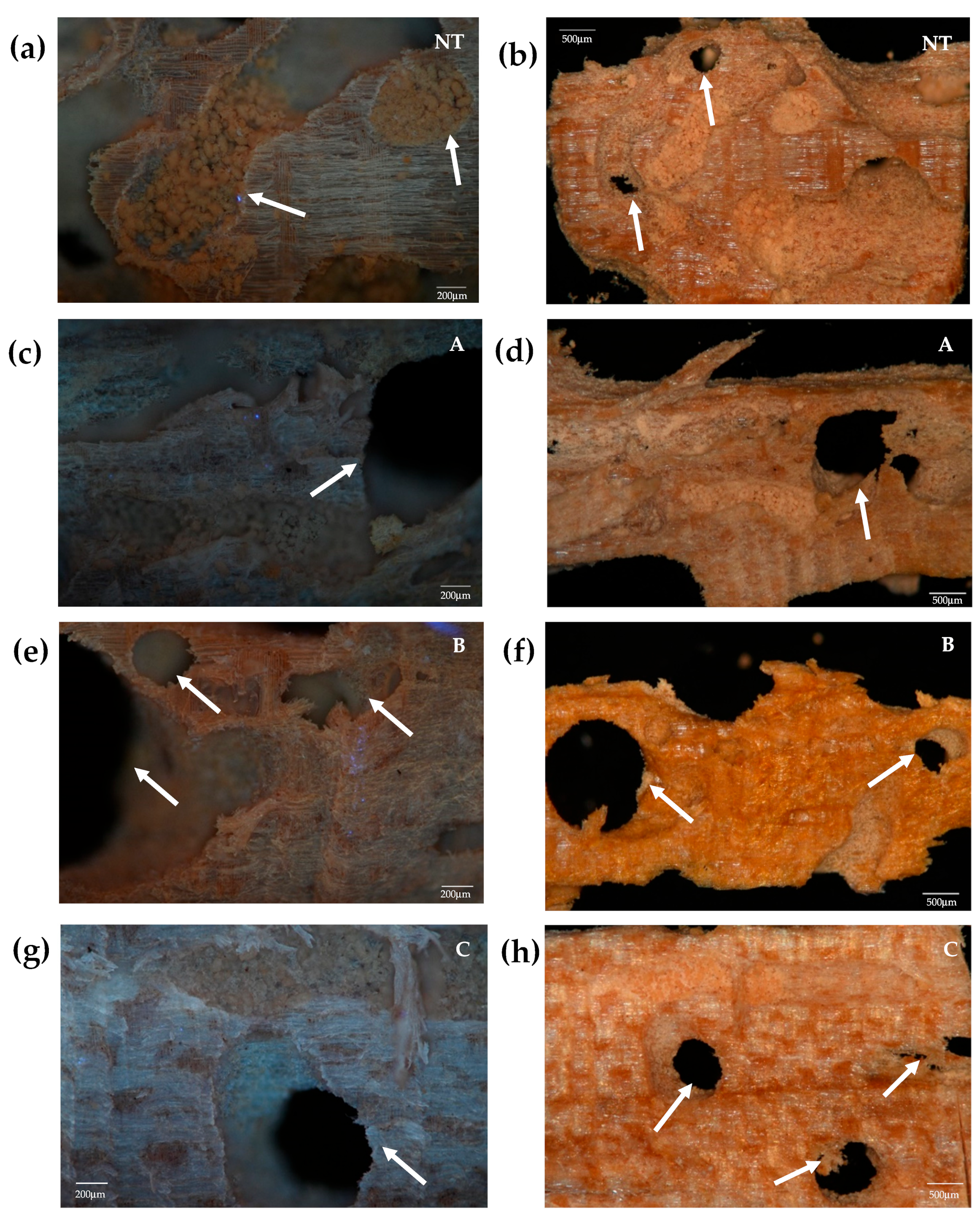 Applsci 14 07964 g005