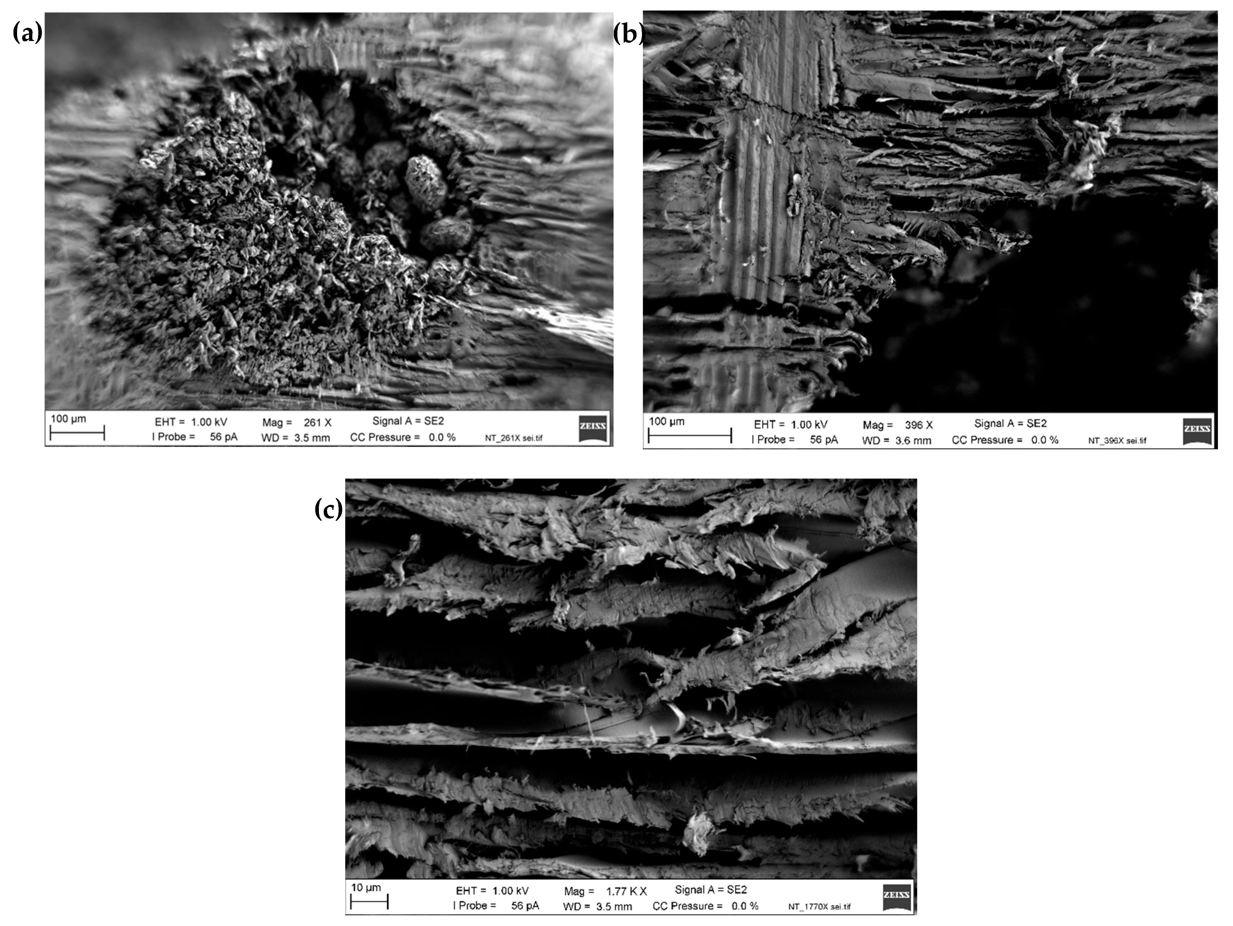 Applsci 14 07964 g010