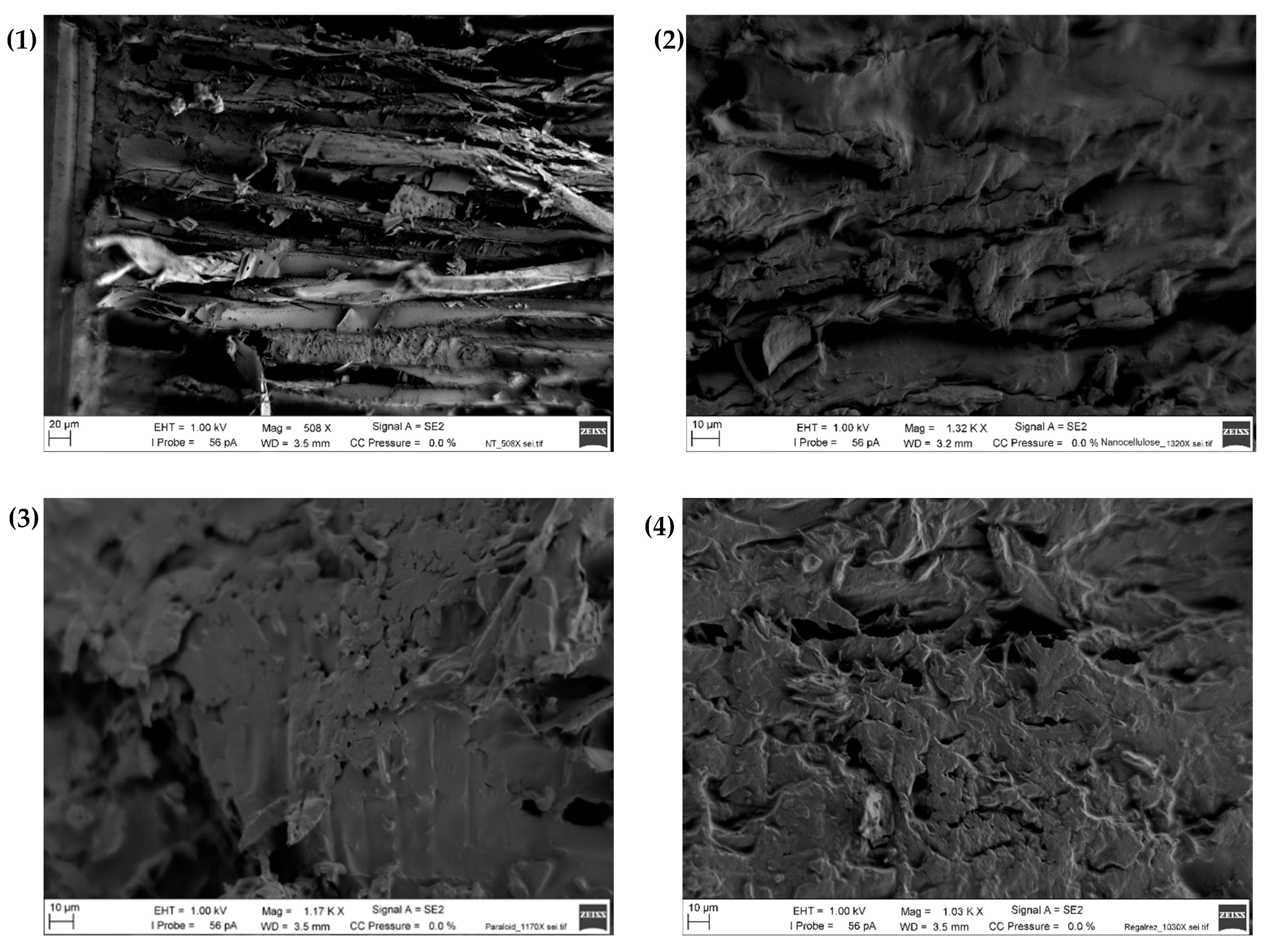 Applsci 14 07964 g011