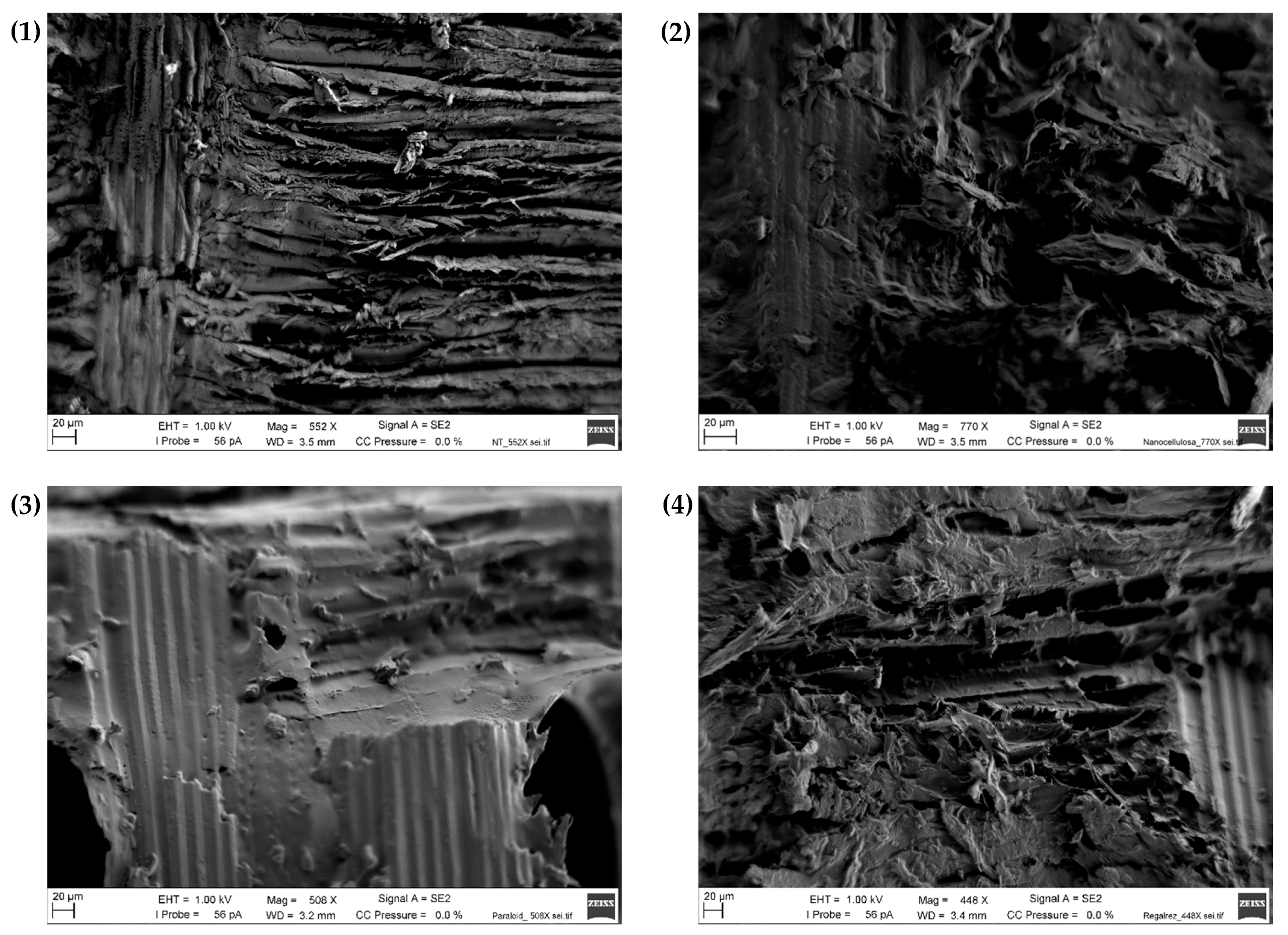 Applsci 14 07964 g012