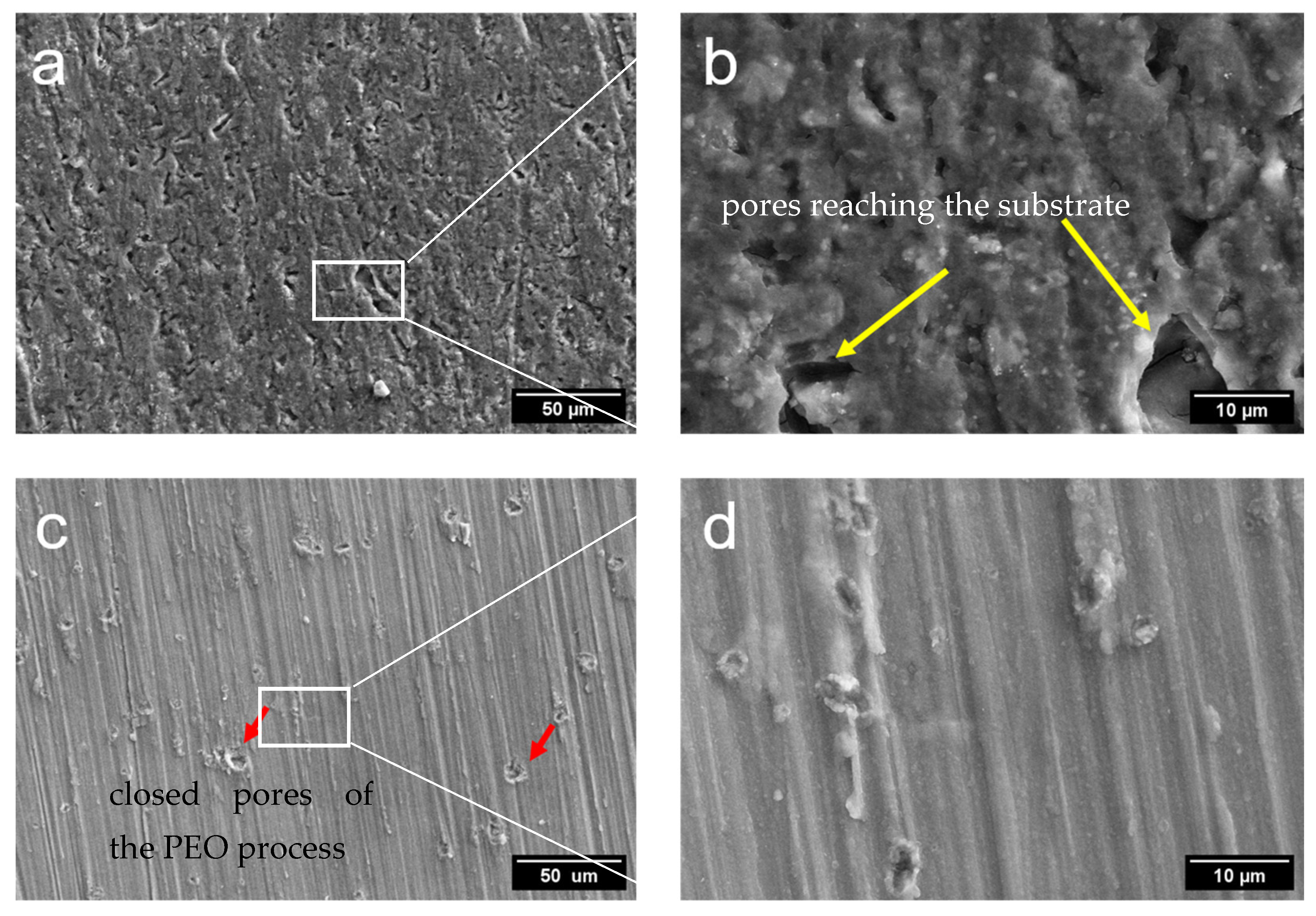 Applsci 14 07972 g008