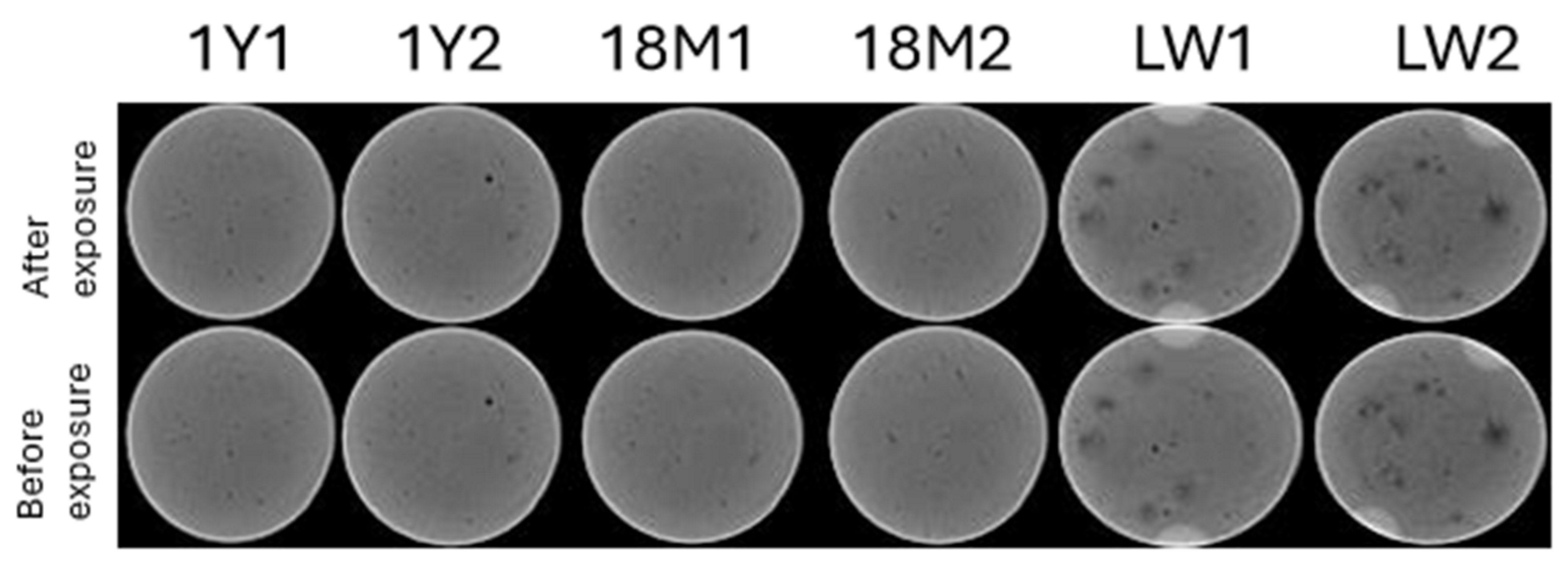 Applsci 14 07973 g0a1