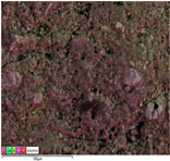 Applsci 14 07973 i006