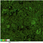 Applsci 14 07973 i008