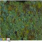 Applsci 14 07973 i011