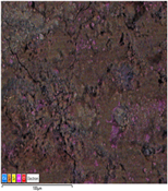 Applsci 14 07973 i017