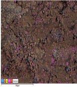 Applsci 14 07973 i018