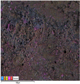 Applsci 14 07973 i021