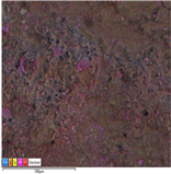 Applsci 14 07973 i022