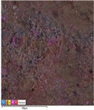 Applsci 14 07973 i023