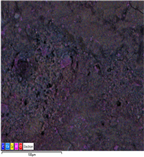 Applsci 14 07973 i024