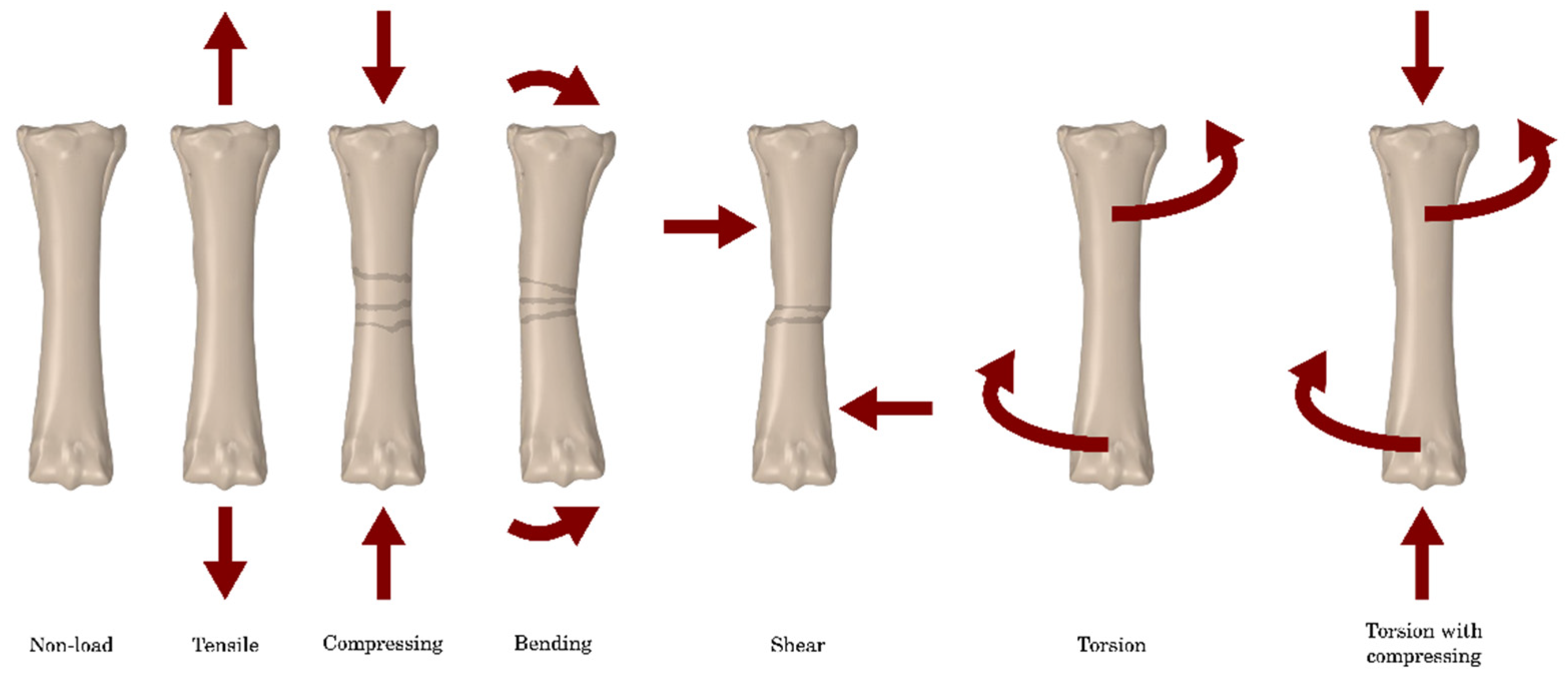 Applsci 14 07976 g001