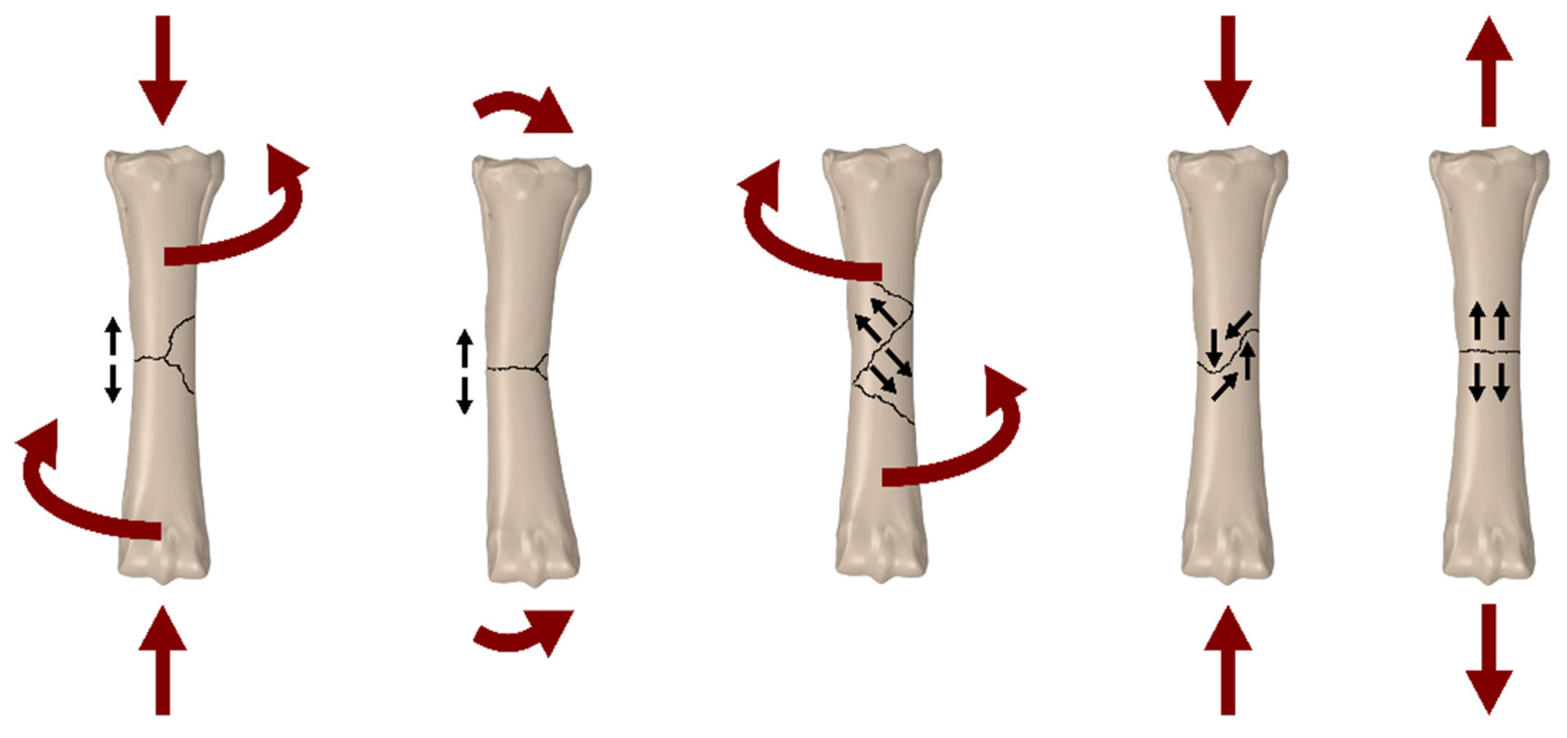 Applsci 14 07976 g002